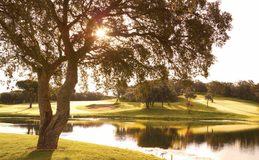7.- Golfincostabrava
